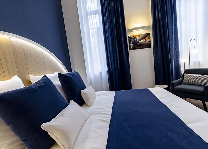 Hotel Du Palais Dijon